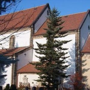 Sanierung von Kirchen